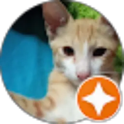 Review From Quily Iem