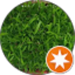 Review From Adi Abdi Pantura