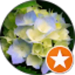 Review From Henny Citrawati