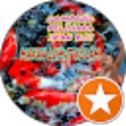 Review From Abu Herman Official