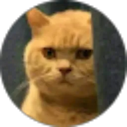 Review From Aiperi Beis