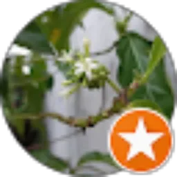 Review From Muhammad Faisal