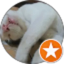 Review From Try N Try Channel