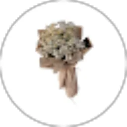 Review From Awali Nur Aulia