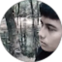 Review From Amedeo Immanuel