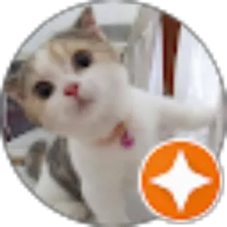 Review From Markus Aprianto Galugu