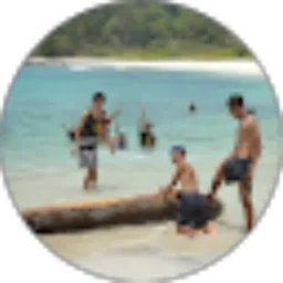 Review From Alwan Fajar Syauqi