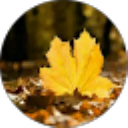 Review From STONE ACEH