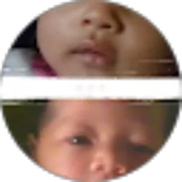 Review From Diman Tarjo