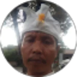 Review From Wayan sudiasa