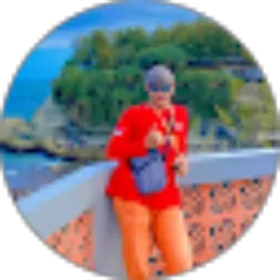 Review From Andre Bayu