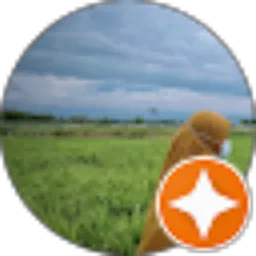 Review From Anisah sholikhah