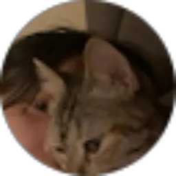 Review From Chelsea Aprilia