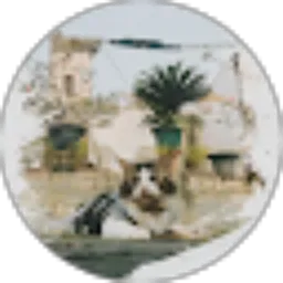 Review From Bang Mino