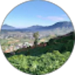 Review From indra wijaya