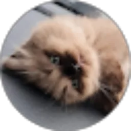 Review From Muhammad Andry