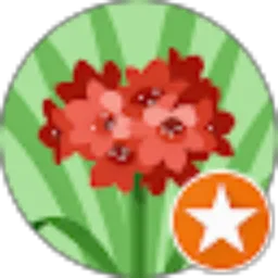 Review From Rizky Wijaya