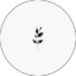 Review From Debbie Tishaul Jannah