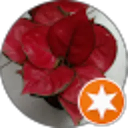 Review From liza triana