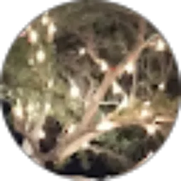 Review From M.Fahrudin Rusydi