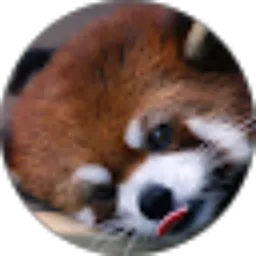 Review From Gabriella Noveli