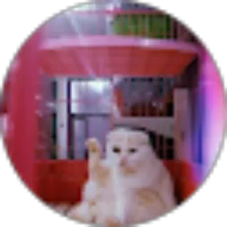 Review From Theresia Jovanca Pricilia