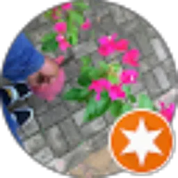 Review From Rachmad Prima