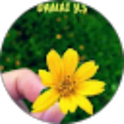 Review From Damai Yulianti Siddik