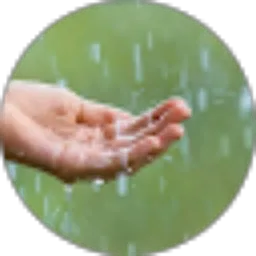 Review From najeeb ahmed