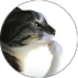 Review From Piney 1623