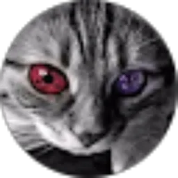 Review From Herlambang