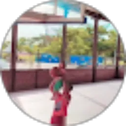 Review From Dhani Setyawan