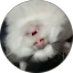 Review From undul 123