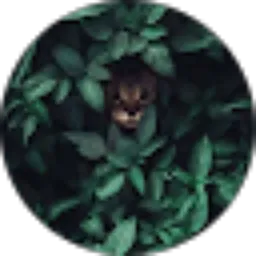 Review From Wahyu Pratama