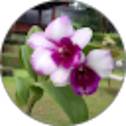 Review From Mutia Ramayanti