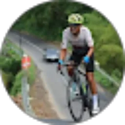 Review From Andy Theo