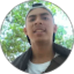 Review From Reza Mustafa