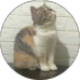 Review From muhammad noviadi