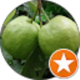 Review From Yuni Wahyuni