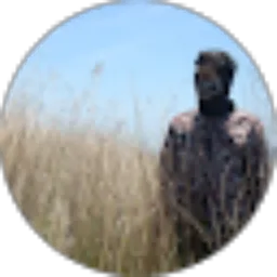 Review From Andre Maulana