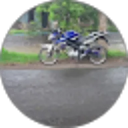 Review From Tri Susanto123