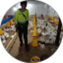 Review From Ayam kampung dan Entog potong