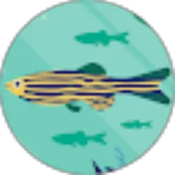 Review From Brandon Jones