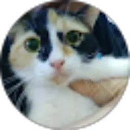 Review From rita setia