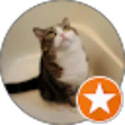 Review From anita kurniawati