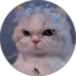 Review From Kiki Ariyanti