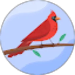 Review From birsa birsa