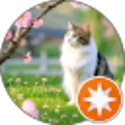 Review From Amin Fauzi