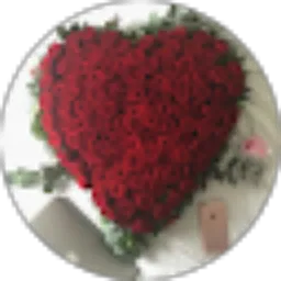 Review From Raudatul Fatimia