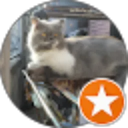 Review From Dio Fazli